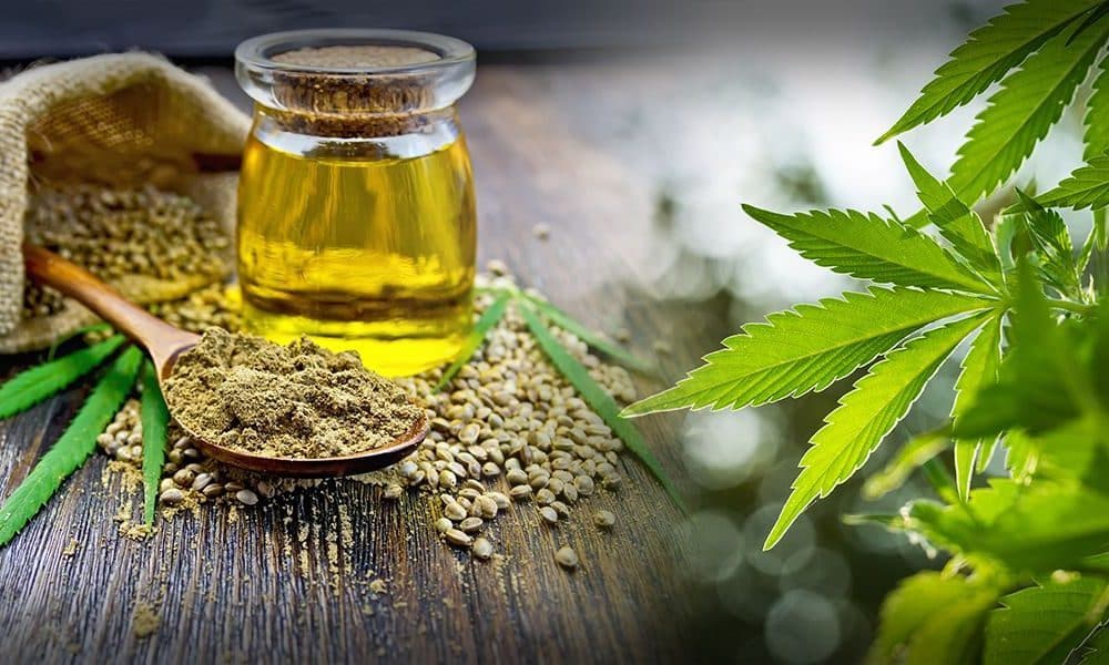 cbd oil, hemp oil, are cbd and hemp oil the same, cbd oil online
