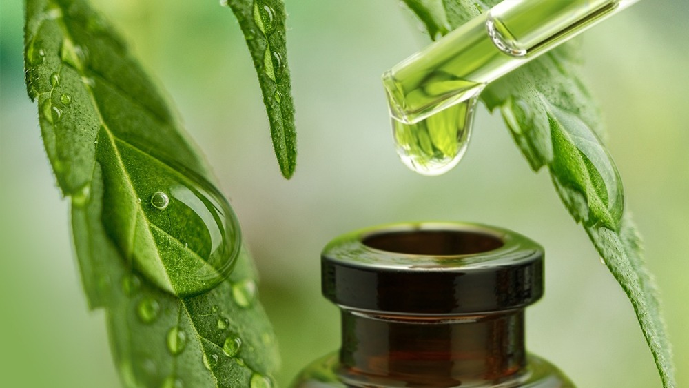 difference between marijuana and hemp, hemp, hemp oil, weed