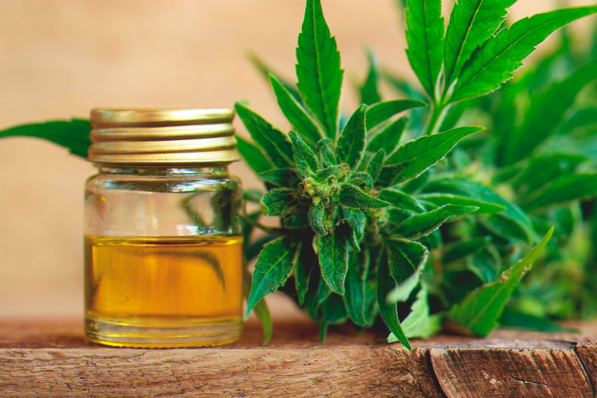 cbd oil infographic, cbd oil benefits, hemp oil, hemp oil benefits, hemp, full spectrum cbd oil, cbd hemp concentrate, cbd oil for arthritis pain, cbd tincture, cbd gel caps, cbd salve