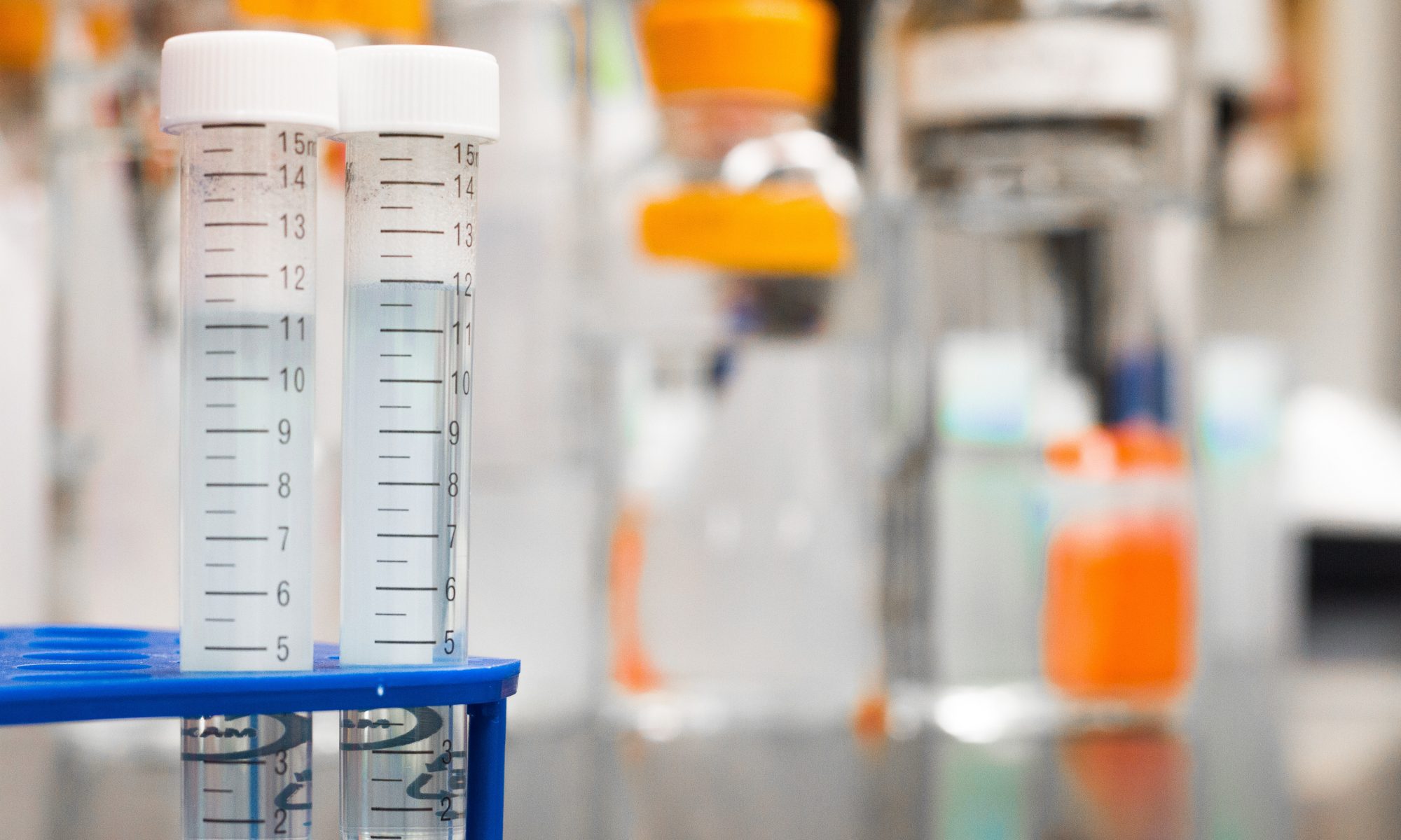cbd show up, will cbd show up, drug test cbd, cbd oil, cbd faqs